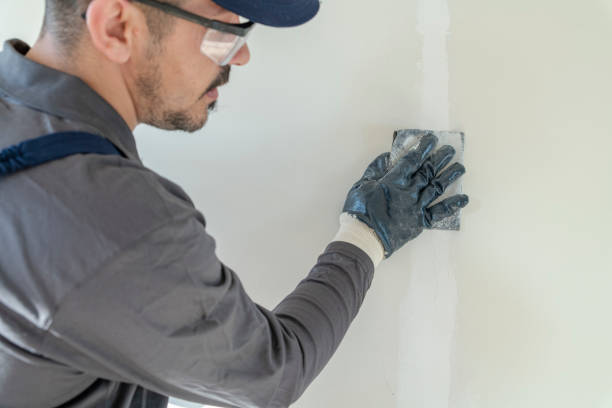 Best Commercial Painting  in Alderson, WV